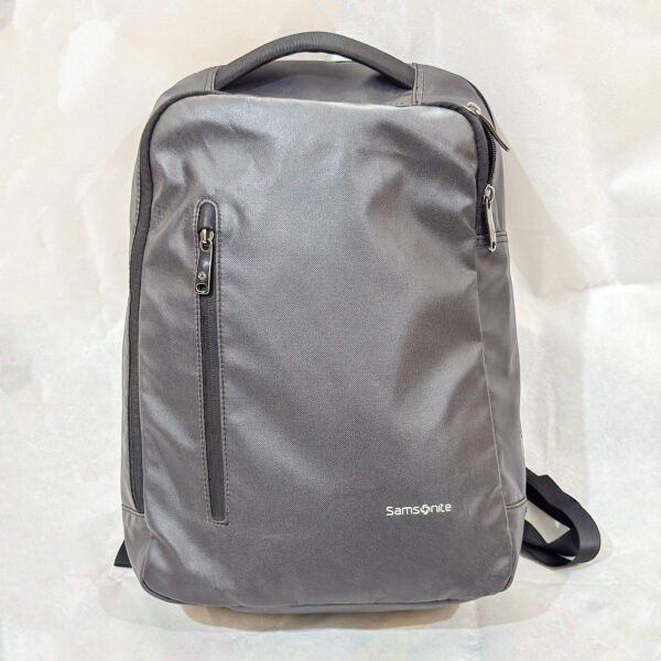 Samsonite Minimalist Laptop Backpack