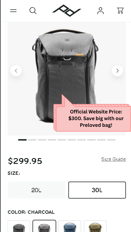 Peak Design Everyday Backpack 30L V1